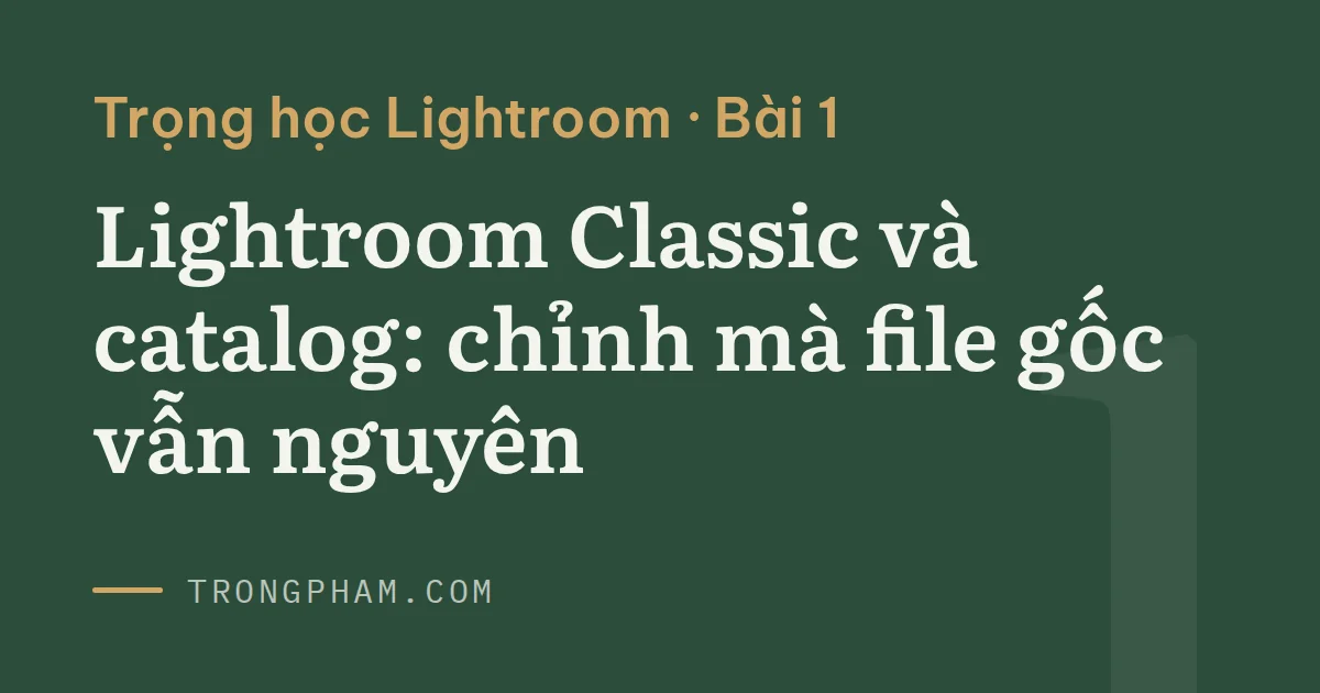 Ảnh bìa loạt Trọng học Lightroom, bài 1: Lightroom Classic và catalog, chỉnh mà file gốc vẫn nguyên